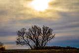 Bosque Del Apache Dec 2018